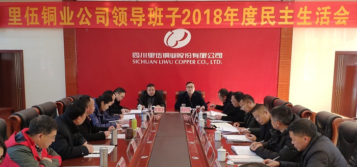 1548644752603735.jpg 大脑壳.jpg
